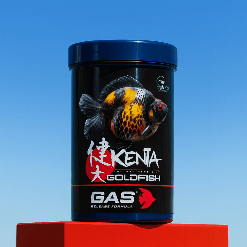 CZ Aqua Kenta Realeasing Gas